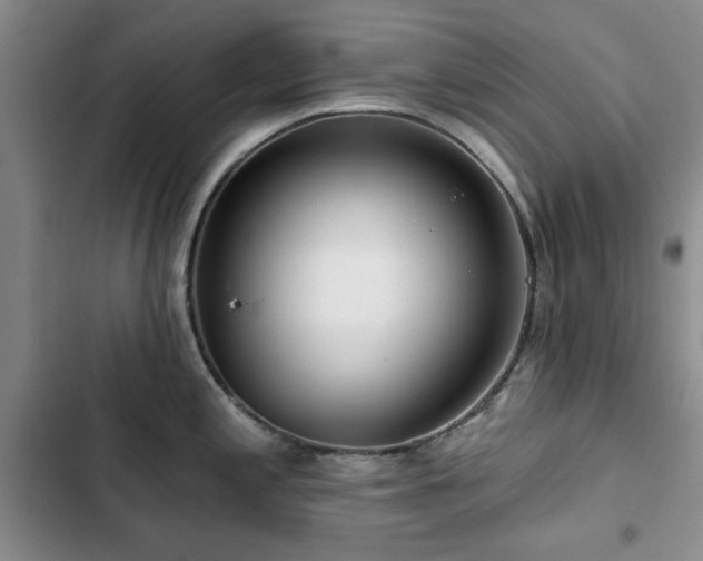 X0000102791197200808181252