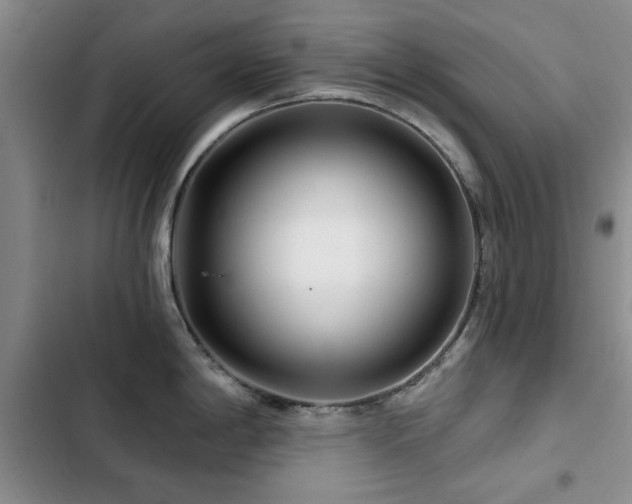 X0000102791198200808181252