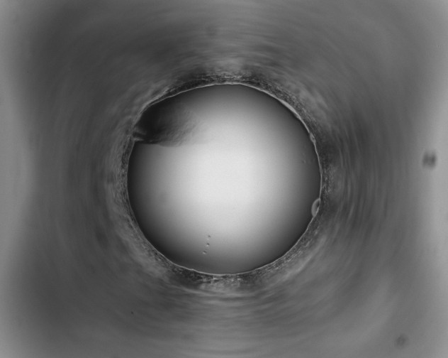 X0000102791201200808181251