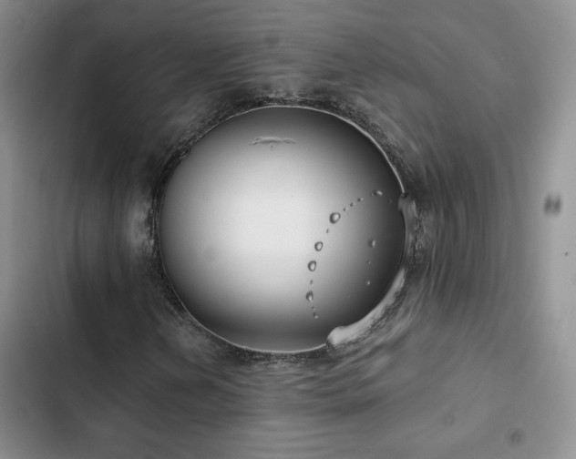 X0000102791202200808181251
