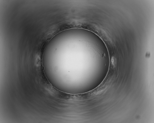 X0000102791203200808181251