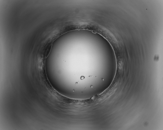 X0000102791204200808181251