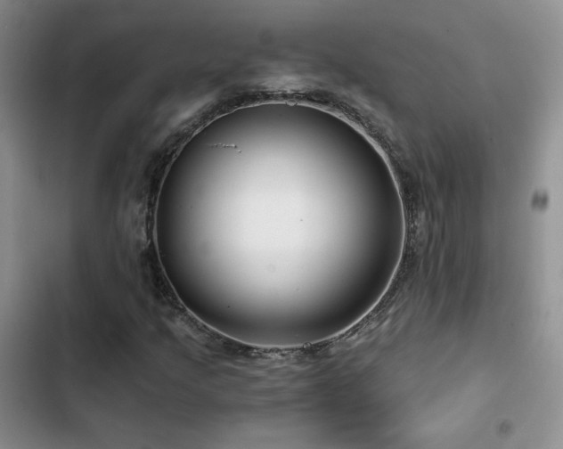 X0000102791205200808181251