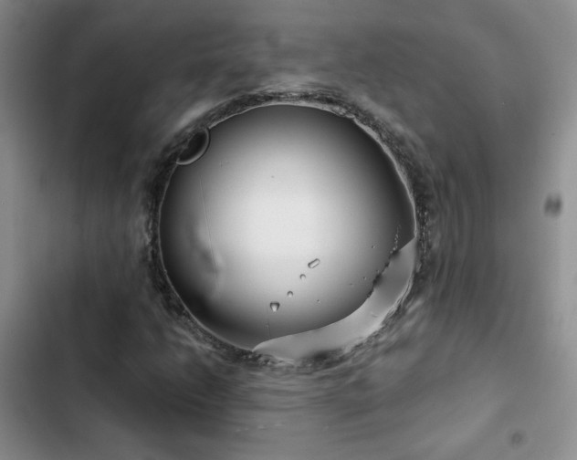 X0000102791206200808181251