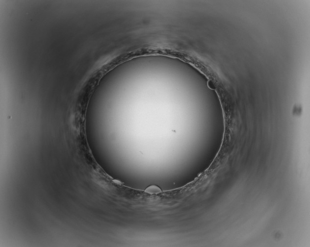 X0000102791207200808181251