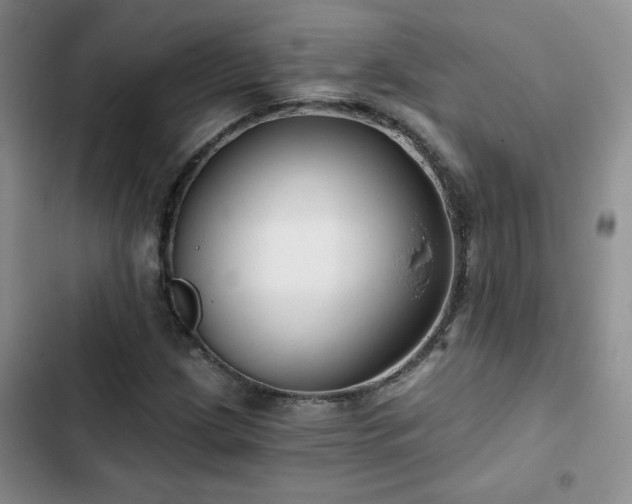 X0000102791209200808181251