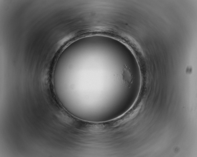 X0000102791210200808181251