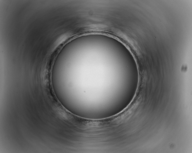 X0000102791211200808181251