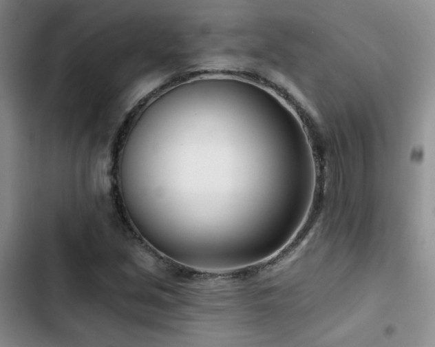 X0000102791213200808181251