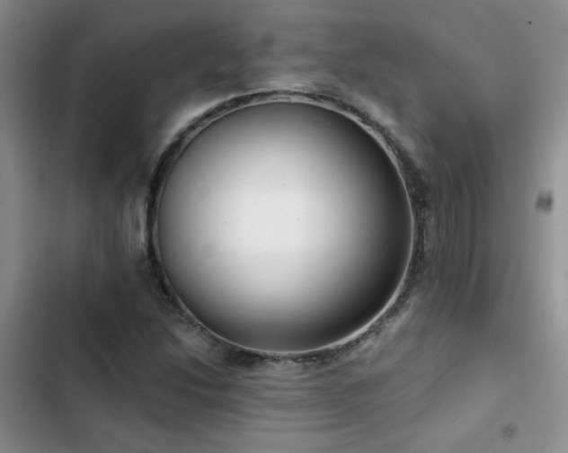 X0000102791214200808181251