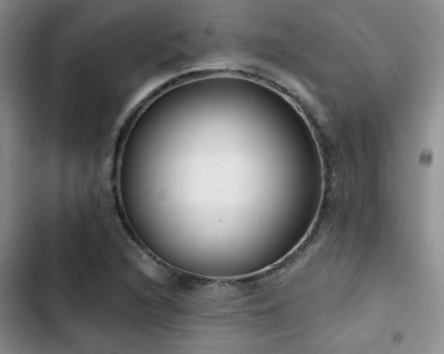 X0000102791216200808181251