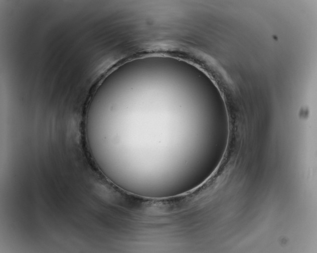 X0000102791217200808181251