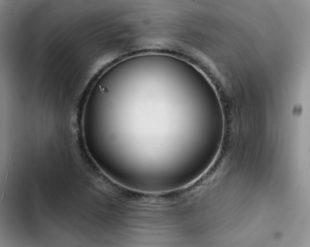 X0000102791218200808181251