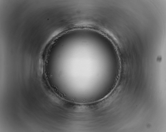 X0000102791219200808181251