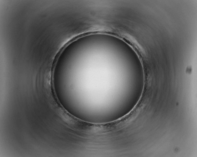 X0000102791220200808181251