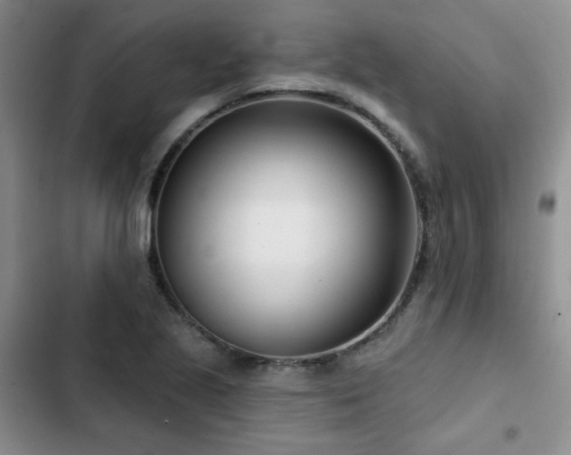 X0000102791221200808181251