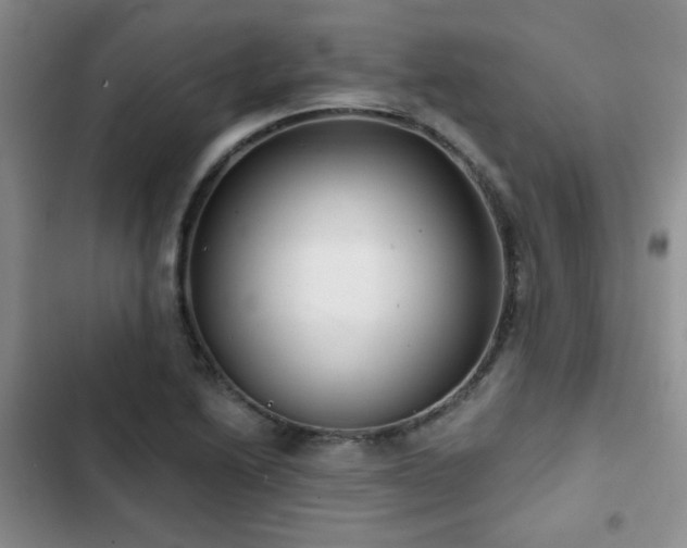X0000102791222200808181251