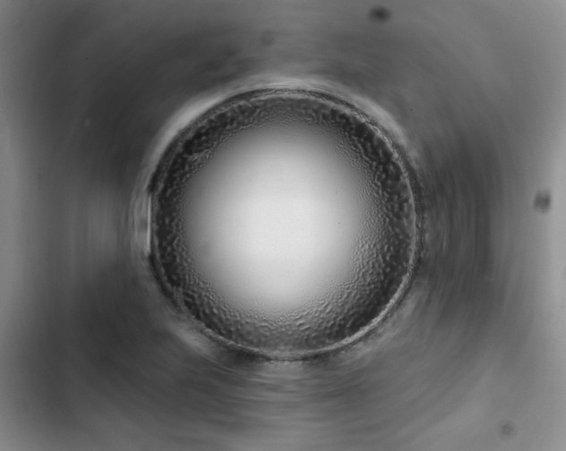 X0000102791223200808181251