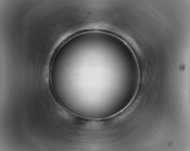X0000102791224200808181251