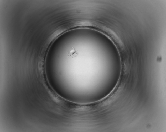 X0000102791225200808181251