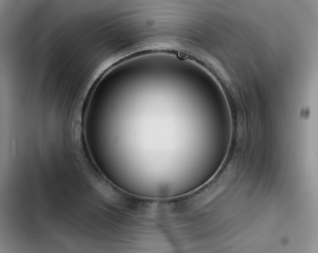 X0000102791226200808181251