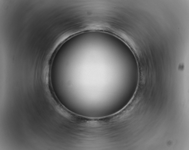 X0000102791227200808181251