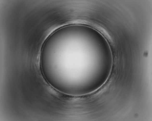 X0000102791228200808181251