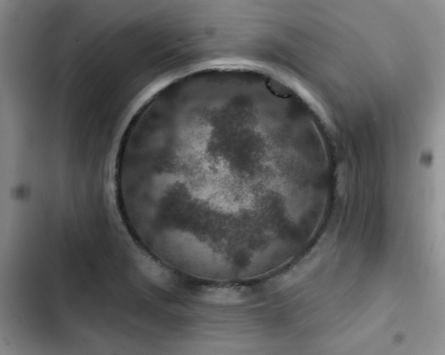 X0000102791229200808181251