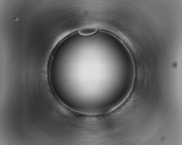 X0000102791230200808181251