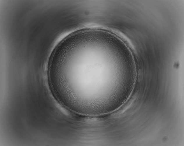 X0000102791231200808181251