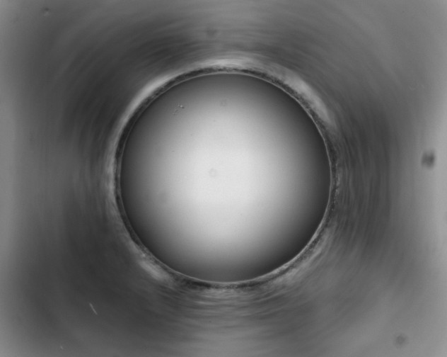 X0000102791232200808181251
