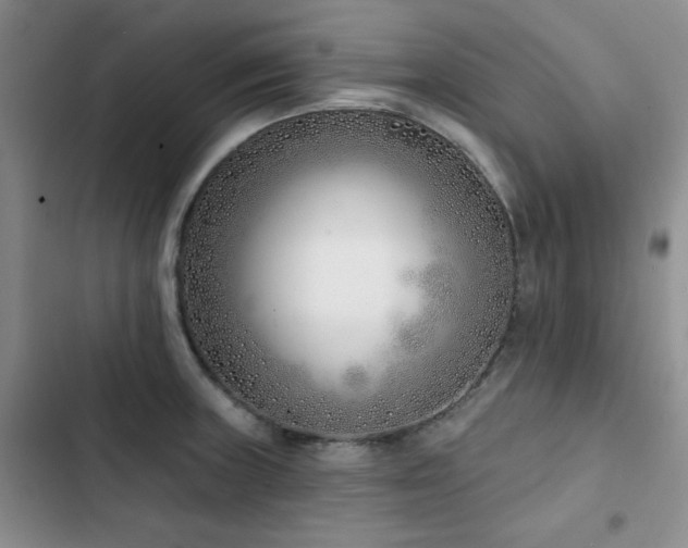 X0000102791235200808181251