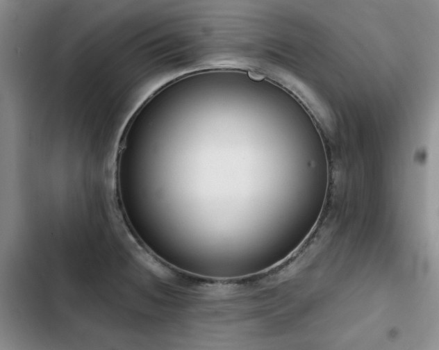 X0000102791236200808181251