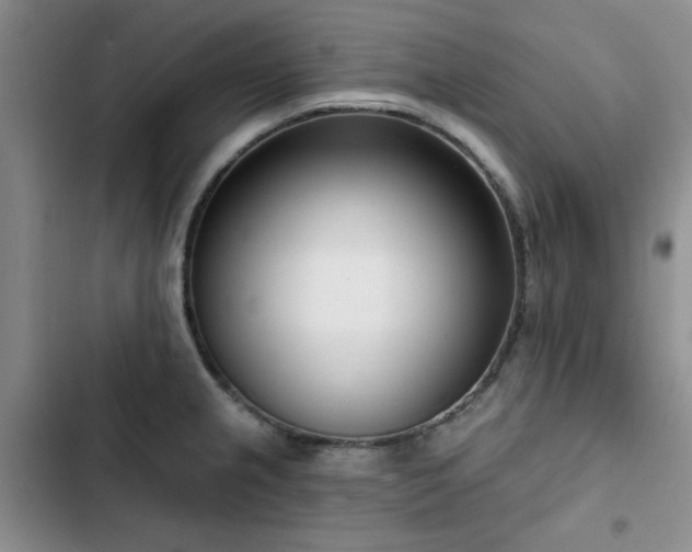 X0000102791237200808181252