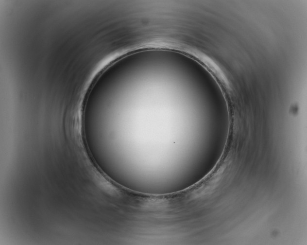 X0000102791238200808181252