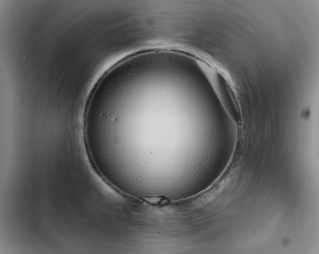 X0000102791239200808181252