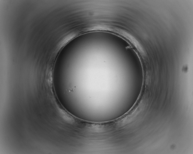X0000102791241200808181252