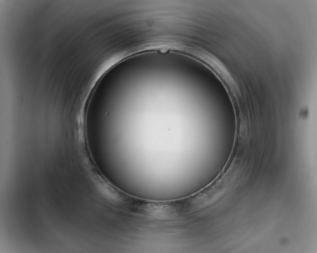 X0000102791242200808181252