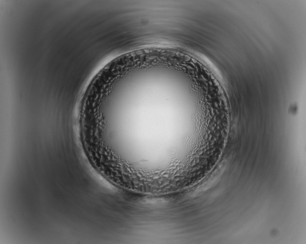 X0000102791243200808181252