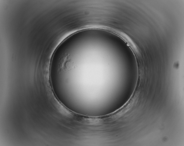 X0000102791244200808181252