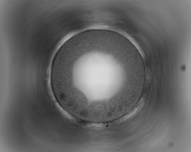 X0000102791245200808181252