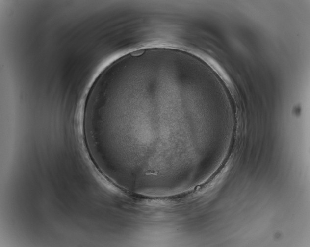 X0000102791246200808181252