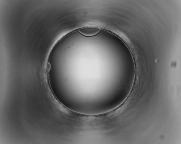 X0000102791248200808181252