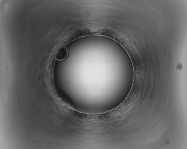 X0000102791249200808181251