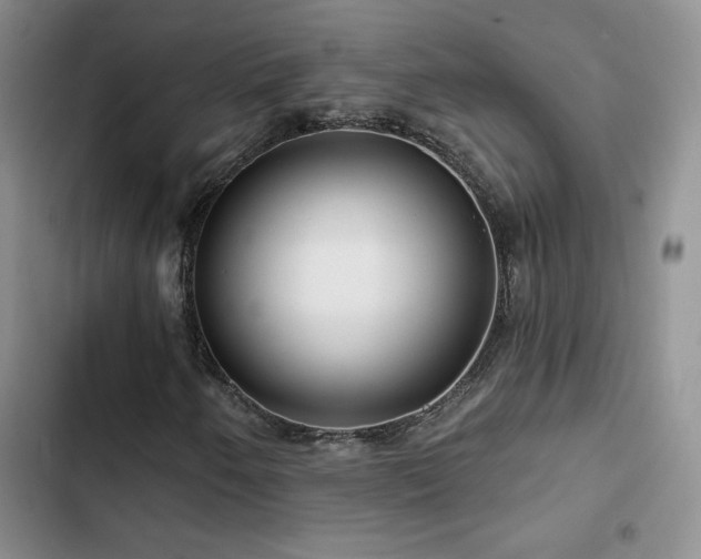 X0000102791250200808181251