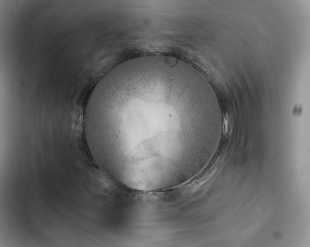 X0000102791251200808181251