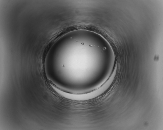 X0000102791252200808181251