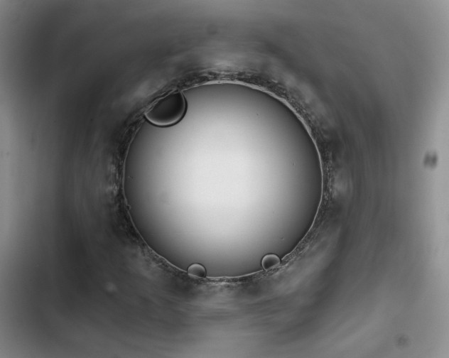 X0000102791253200808181251
