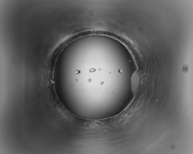X0000102791255200808181251