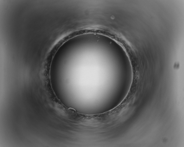 X0000102791256200808181251